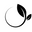 recoveryzone24.com favicon